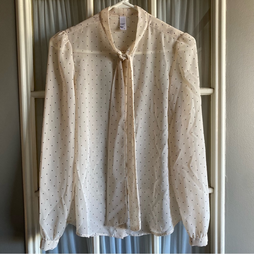 American apparel sheer chiffon polkadot tie neck blouse